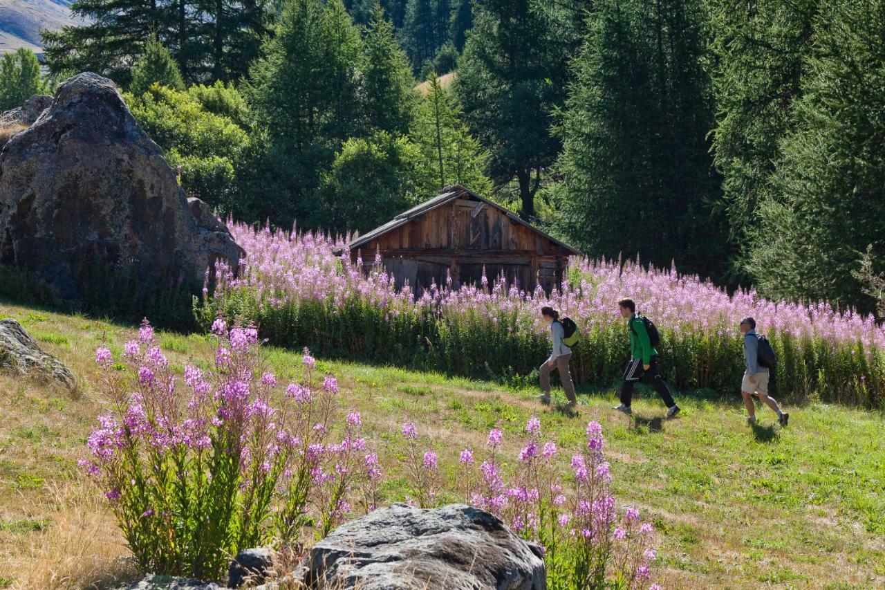 Chalet Carpe Diem La Bâtie-Neuve Eksteriør billede